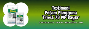 testimoni,petani,pengguna,budidaya,budidaya tanaman,lmga agro