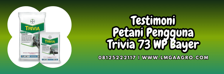 testimoni,petani,pengguna,budidaya,budidaya tanaman,lmga agro