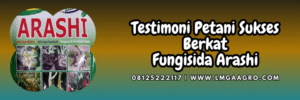 testimoni,petani,budidaya,tanaman,lmga agro