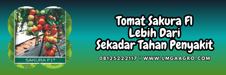 benih,bibit,panah merah,cap panah merah,lmga agro