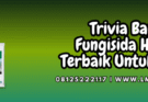 trivia,bayer,bayer trivia,trivia 73 wp,lmga agro