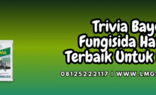 trivia,bayer,bayer trivia,trivia 73 wp,lmga agro