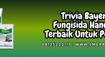 Trivia Bayer Fungisida Handal Terbaik Untuk Petani