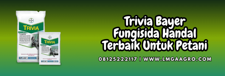 trivia,bayer,bayer trivia,trivia 73 wp,lmga agro