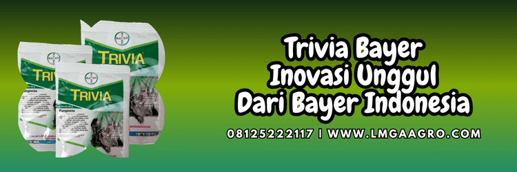 pestisida,fungisida,pestisida jenis fungisida,jamur,cendawan,penyakit,lmga agro,bayer trivia 73 wp