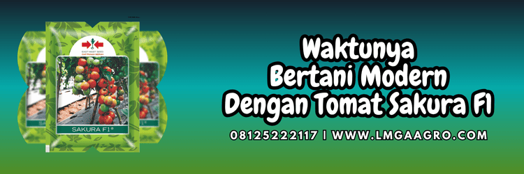 jual,murah,terjangkau,toko pertanian terdekat,lmga agro