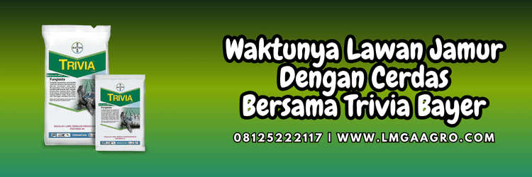 jual,murah,terjangkau,toko pertanian terdekat,lmga agro