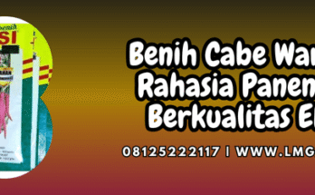 benih,cabe,warrior,warrior f1,lmga agro