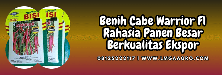 benih,cabe,warrior,warrior f1,lmga agro