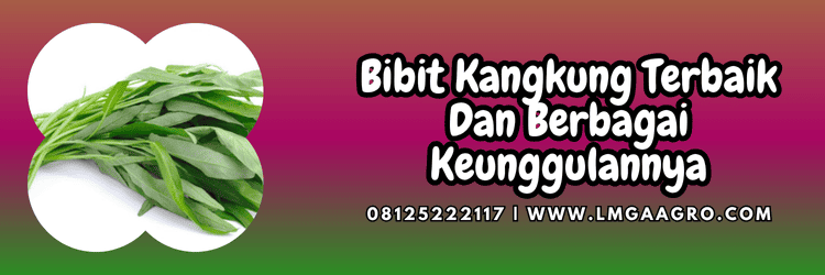 benih,benih kangkung,benih kangkung terbaik,tanaman,lmga agro