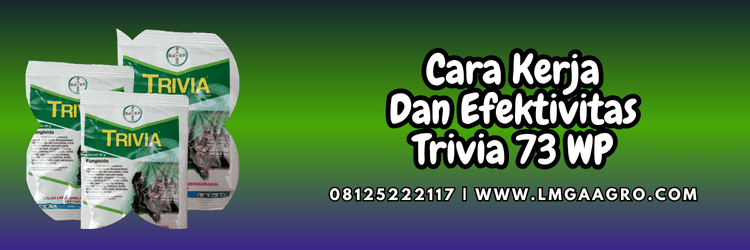 cara kerja,efektivitas,jamur,cendawan,patogen,lmga agro
