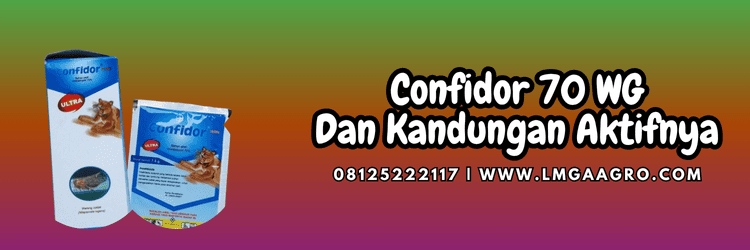bayer confidor,confidor bayer,pestisida jenis insektisida,insektisida confidor,hama,serangga,lmga agro