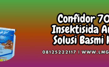 confidor,bayer,pestisida,insektisida,lmga agro