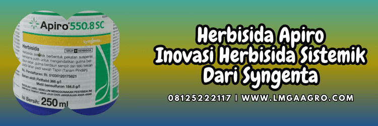 pestisida,pestisida jenis herbisida,apiro syngenta,syngenta apiro,lmga agro