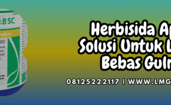 herbisida,apiro,apiro 550.8 sc,syngenta,lmga agro