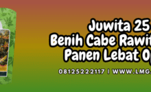 juwita,juwita 25,f1,cabe,cabe rawit,lmga agro