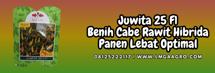 juwita,juwita 25,f1,cabe,cabe rawit,lmga agro