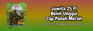 panah merah,cap panah merah,juwita 25 f1 cap panah merah,ewindo,eastwestseed,lmga agro