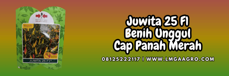panah merah,cap panah merah,juwita 25 f1 cap panah merah,ewindo,eastwestseed,lmga agro