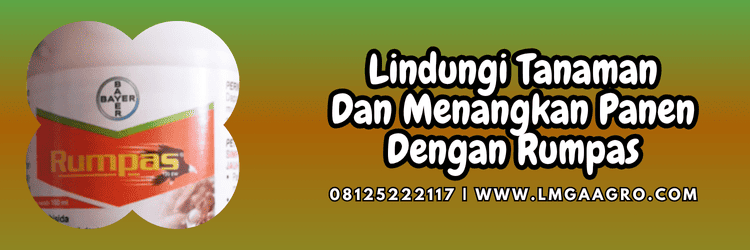 jual,murah,terjangkau,toko pertanian terdekat,lmga agro