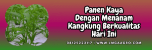 jual,murah,terjangkau,toko pertanian terdekat,lmga agro