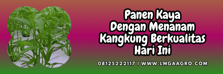 jual,murah,terjangkau,toko pertanian terdekat,lmga agro