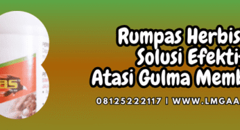 Rumpas Herbisida Solusi Efektif Atasi Gulma Membandel