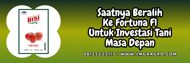 jual,murah,terjangkau,toko pertanian terdekat,lmga agro