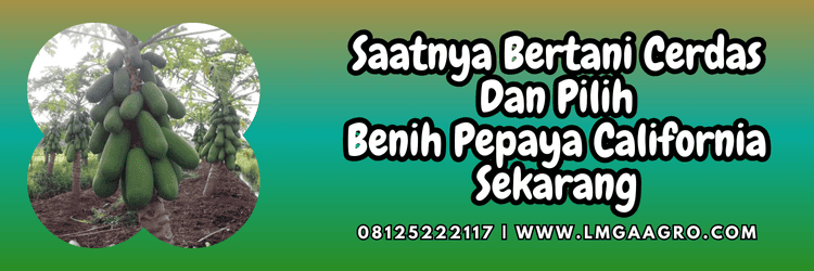 jual,murah,terjangkau,toko pertanian terdekat,lmga agro