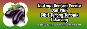 jual,murah,terjangkau,toko pertanian terdekat,lmga agro