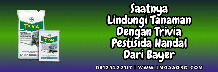 jual,murah,terjangkau,toko pertanian terdekat,lmga agro