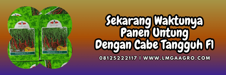 jual,murah,terjangkau,toko pertanian terdekat,lmga agro