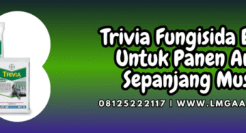 Trivia Fungisida Bayer Untuk Panen Aman Sepanjang Musim