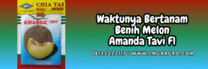 jual,murah,terjangkau,toko pertanian terdekat,lmga agro