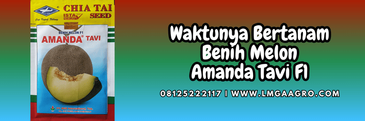 jual,murah,terjangkau,toko pertanian terdekat,lmga agro