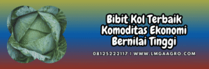 benih,komoditas,hortikultura,pertanian,lmga agro