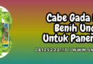 cabe gada evo,cabe,gada evo,f1,gada evo f1,lmga agro
