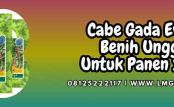 cabe gada evo,cabe,gada evo,f1,gada evo f1,lmga agro