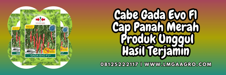 cabai,panah merah,cap panah merah,ewindo,eastwestseed,lmga agro