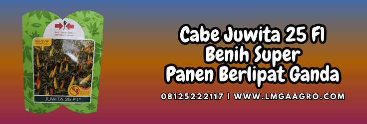 cabe,juwita,juwita 25,juwita 25 f1,lmga agro