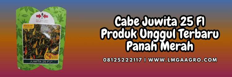 cabe juwita,cabe juwita 25 f1,panah merah,cap panah merah,lmga agro