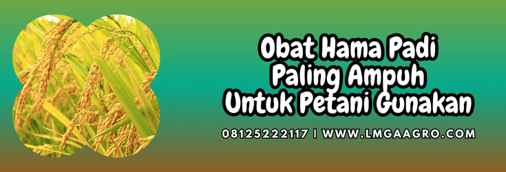 obat hama padi paling ampuh,obat,hama,padi,pestisida,lmga agro