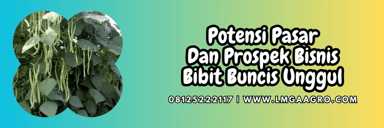 budidaya,budidaya buncis,potensi,pasar,prospek,agribisnis,agrobisnis,sayur,sayuran,lmga agro