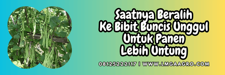 jual,murah,terjangkau,toko pertanian terdekat,lmga agro