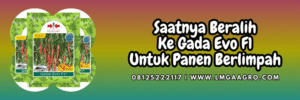 jual,murah,terjangkau,toko pertanian terdekat,lmga agro