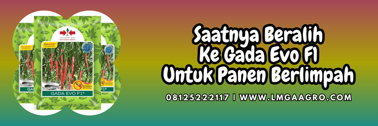 jual,murah,terjangkau,toko pertanian terdekat,lmga agro