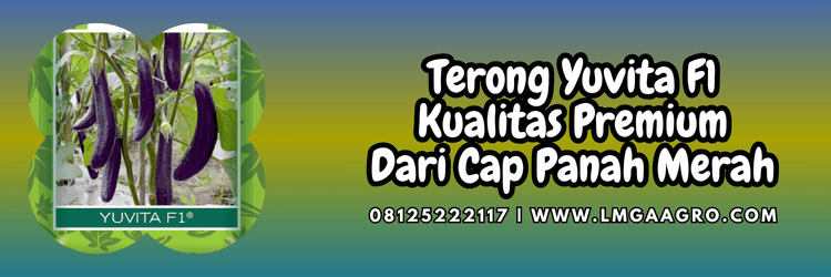 terung,panah merah,cap panah merah,eastwestseed,ewindo,lmga agro