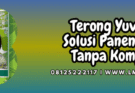 terong yuvita,terong,yuvita,yuvita f1,f1,lmga agro