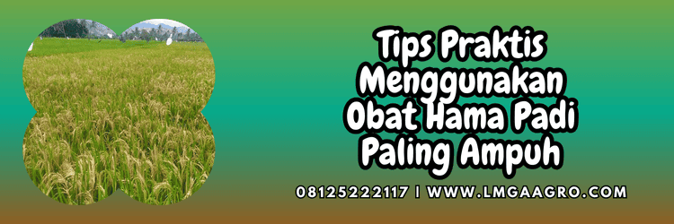 tips,praktis,mudah,aplikasi,lmga agro