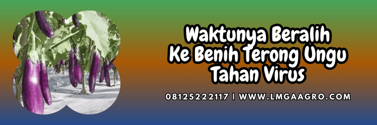 jual,murah,terjangkau,toko pertanian terdekat,lmga agro